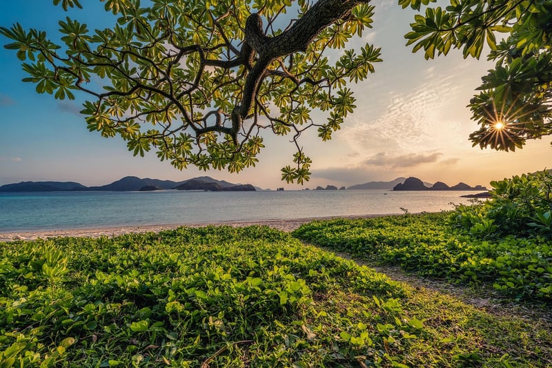 Nature retreat